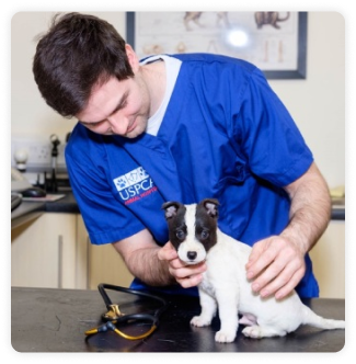 site-of-care-veterinary-offices